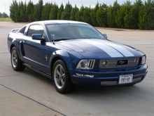 2006 Stampede Edition Mustang