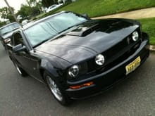 Mustang Angled