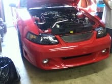 working on the stang