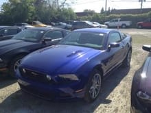 My first stang: 2013 GT
