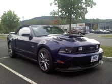 The Stang