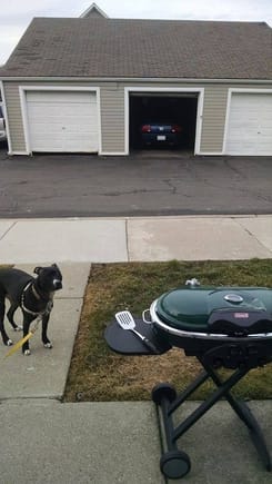 Grillin' with my dog and my car.