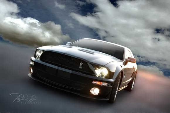 Main Image 
2009 Shelby GT-500