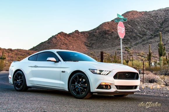 Mustang Trl... can't beat that!