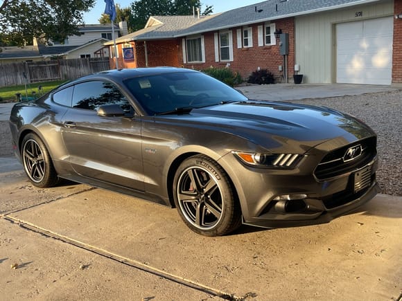 2015 gt with 50th trim