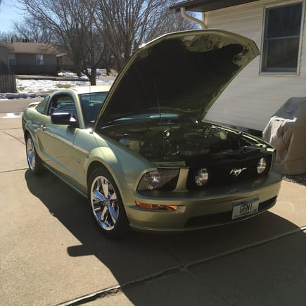 Got the mustang out of the garage today. It was a nice ride. Cleaning shall commence.