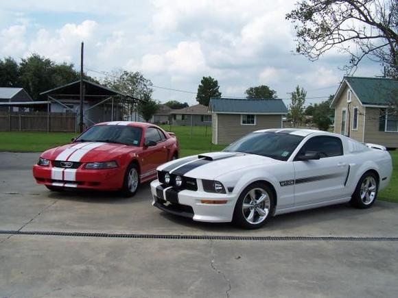 Mustangs 007