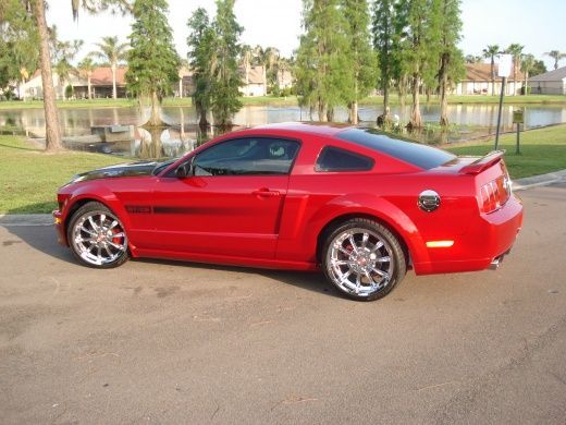 Ron's Mustang 039