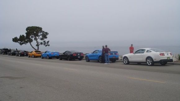 Mustang Meet