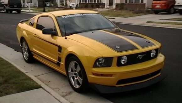 Stang 005