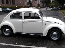 1961 VW profile