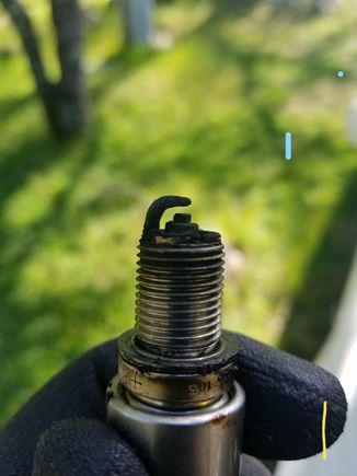 1plug