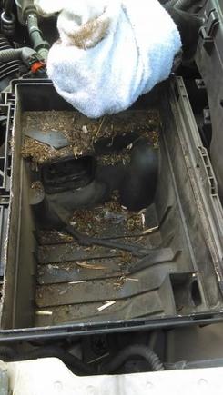 I didnt find the mouse, maybe he was that flash of red i saw when i started my car that one time....