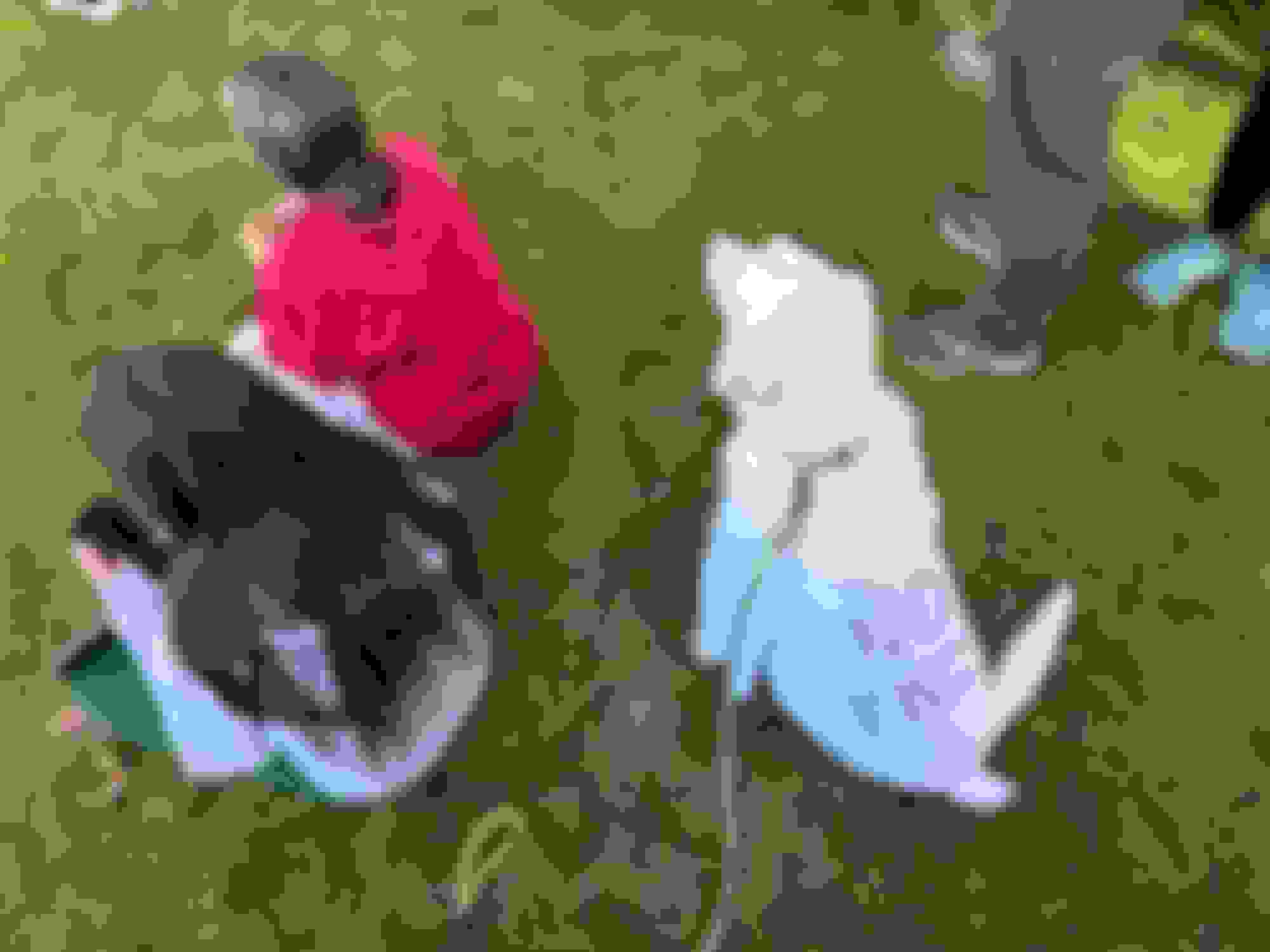 My kids fit, but not the dog <img src=