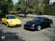993 Carrera and 993 Turbo