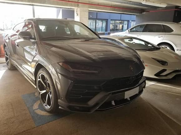 The second Lamborghini Urus to arrive in the state of Virginia. It was seen at Audi Of America Headquarters in Herndon.