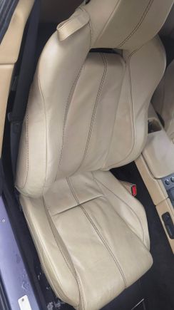 OEM seat