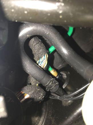 No obvious leak
