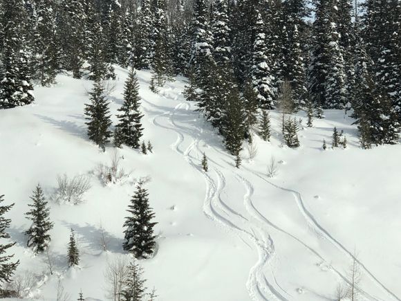 We made sure we didn't ever cross our tracks 