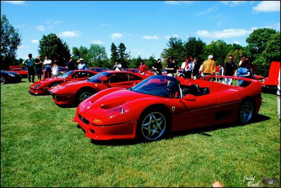 Ferrari F50 F40 288 GTO
