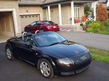 Fresh off the boat in Canada