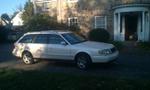 Grandma's Whip