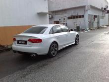 The back view