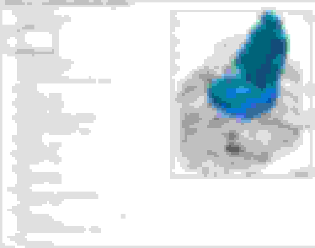 Front Seat bolts torque? AudiWorld Forums