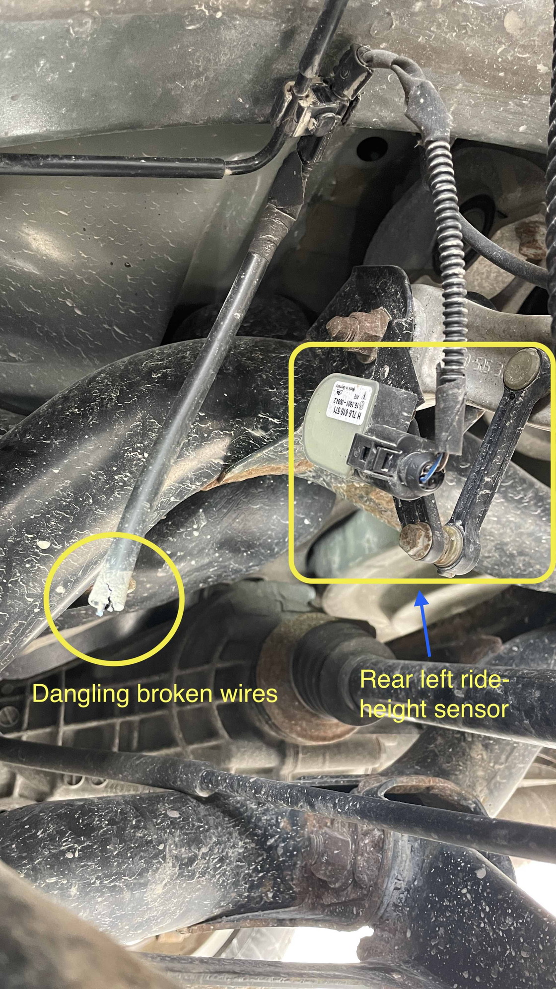 2014 Q7 Rear Left Ride-Height Sensor Broken Wire - AudiWorld Forums