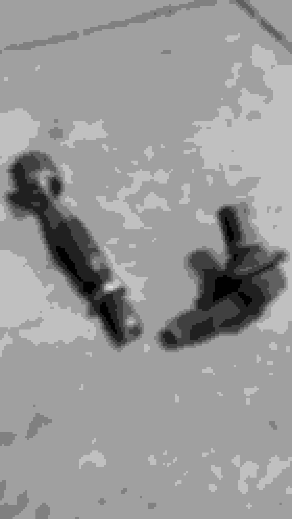 Good times removing a seized Tie Rod. AudiWorld Forums