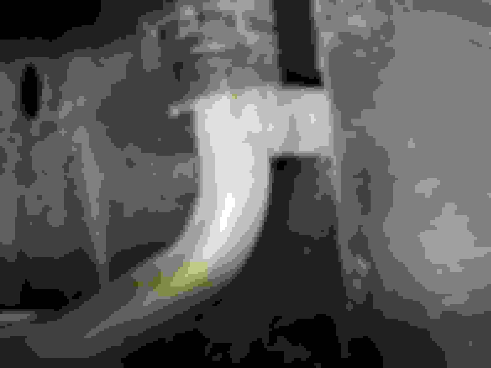 15 Audi S5 coolant leak AudiWorld Forums