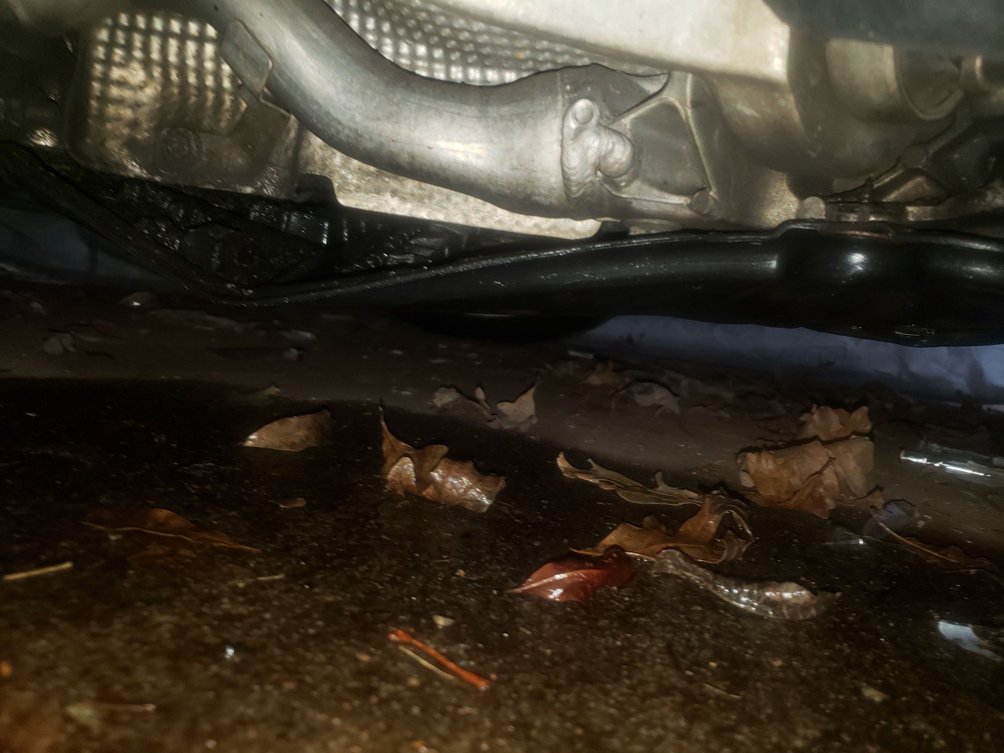 2009 Audi S5 Oil Leak Help And Advice Audiworld Forums