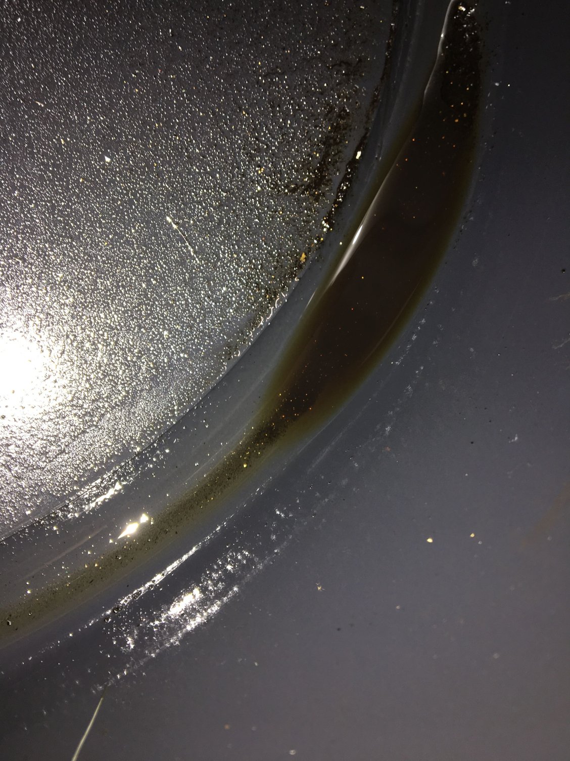 Brass Like Particles Found In Oil Cup Audiworld Forums