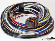 Wiring loom: bunch of wires with a connector. A harness is used on horses.