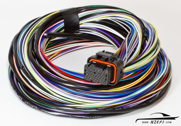 Wiring loom: bunch of wires with a connector. A harness is used on horses.