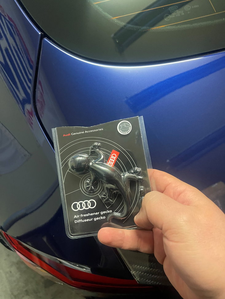 Anyone else buy the ridiculously overpriced Audi Gecko? - AudiWorld Forums