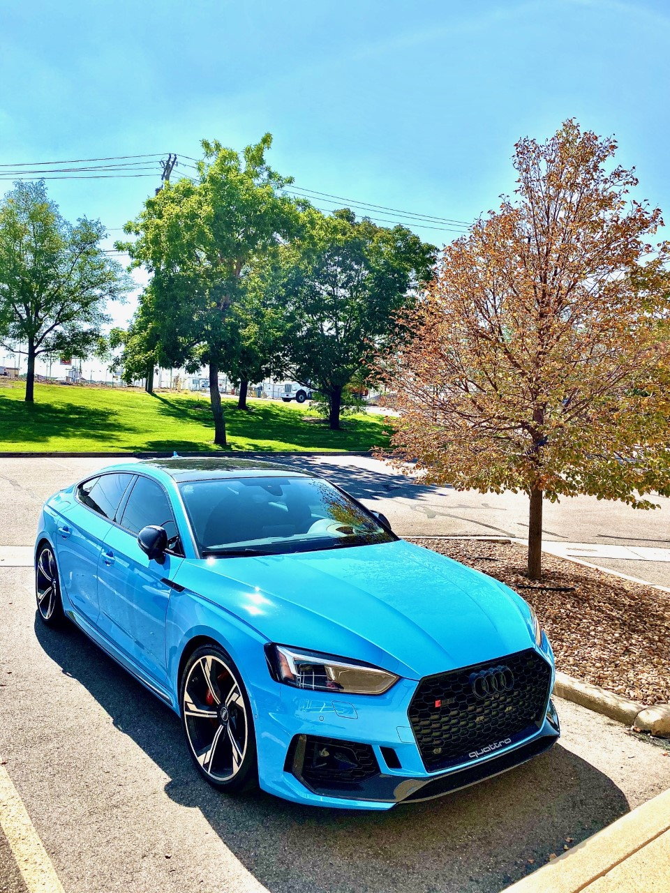 Голубая 5. Ауди rs5 Sportback. Audi rs5 Blue. Audi rs5 f5. Audi rs5 2020.