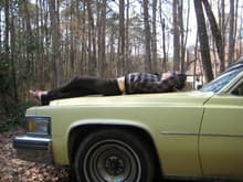 Thats all the proof you need, when a 5'7 tall girl can lay on the hood and still have room. . .