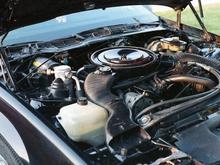 Under the hood showing the 5.0 liter H.O. engine...