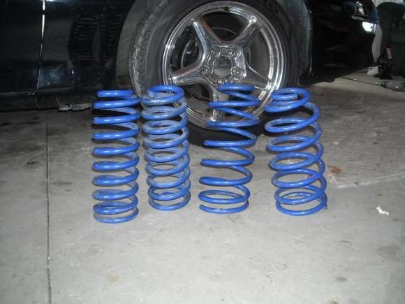 blue 93-97 fbody lowering springs.  No markings or numbers to indicate what brand or lowering height of springs.