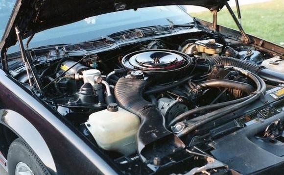 Under the hood showing the 5.0 liter H.O. engine...