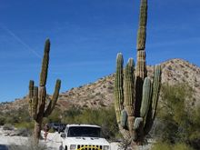 Baja