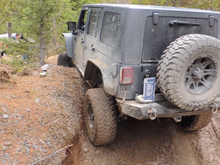 Wild Bill- 3/21/15