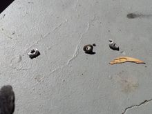 Some quick drilling and the rivets are out!