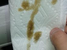 Oil seems fine. Last change was around 300-400 miles ago.