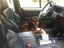 Chestnut loves the '96 leather seats.