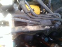 Sparkplug wire harness?