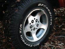 Got a set of ZJ Canyons at the local pick-n-pull. Wrapped 'em with 31" BFG's.