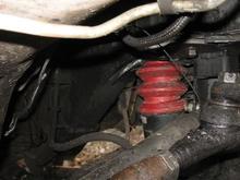 IMG 1718 (Small)