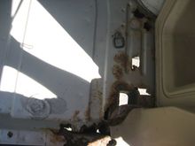 leave the carpet down